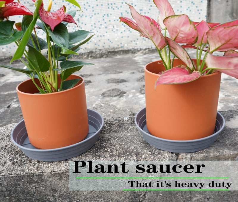 LWALRS Plant Saucer 6 Inch 4 Pack 6 8 10 12 14 16 18 20 25, Plastic Plant Trays for Pots,Extra-Deep Plant Water Dray Tray, Bird Bath Bowl, Heavy Flower Plant saucers Indoors and Outdoor No Holes 6in-4 grey - Image 3